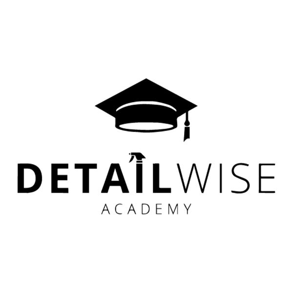 Detail Wise Logo